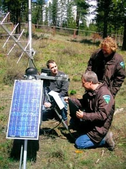 Drei Ingenieure nehmen eine solarbetriebene Sensorstation an einem bewaldeten Hang in Betrieb