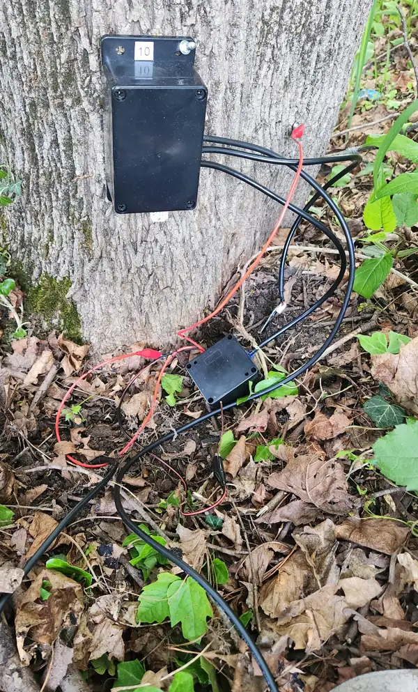 Prototype unit 10 on a smooth-barked trunk, with its secondary module and leads at the base