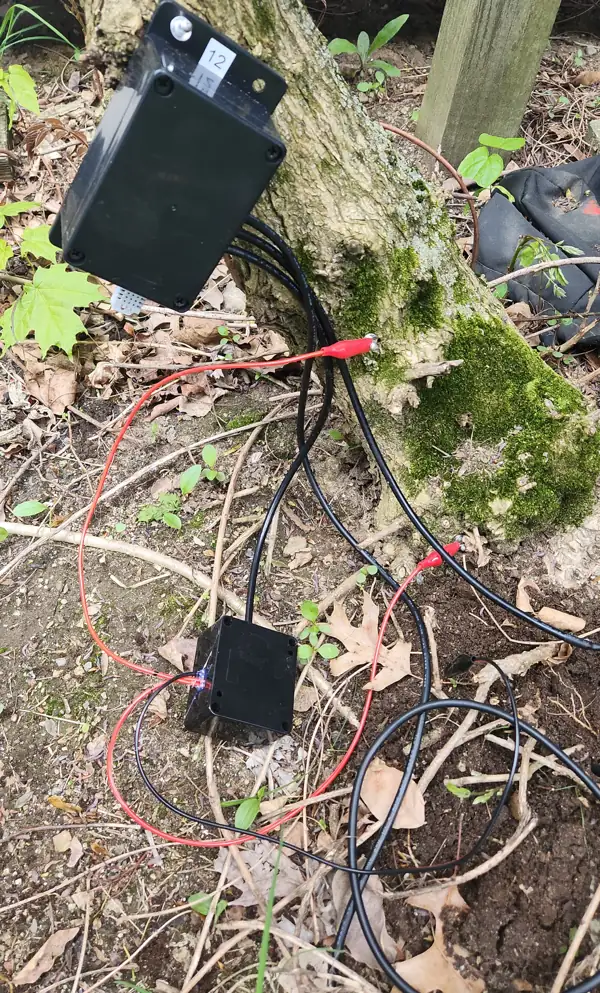 Prototype unit 12 on a mossy trunk, with its secondary module on the ground beside the roots